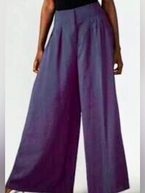 Anthropologie High Rise Pleated Pants Wide Leg Sz 6